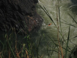 img-268