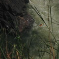 img-268