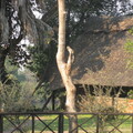 img-278