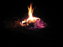 img-279