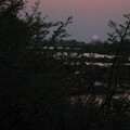 img-280