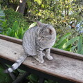 img-286