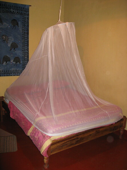 img-288.jpg