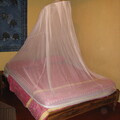 img-288.jpg
