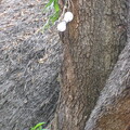 img-30