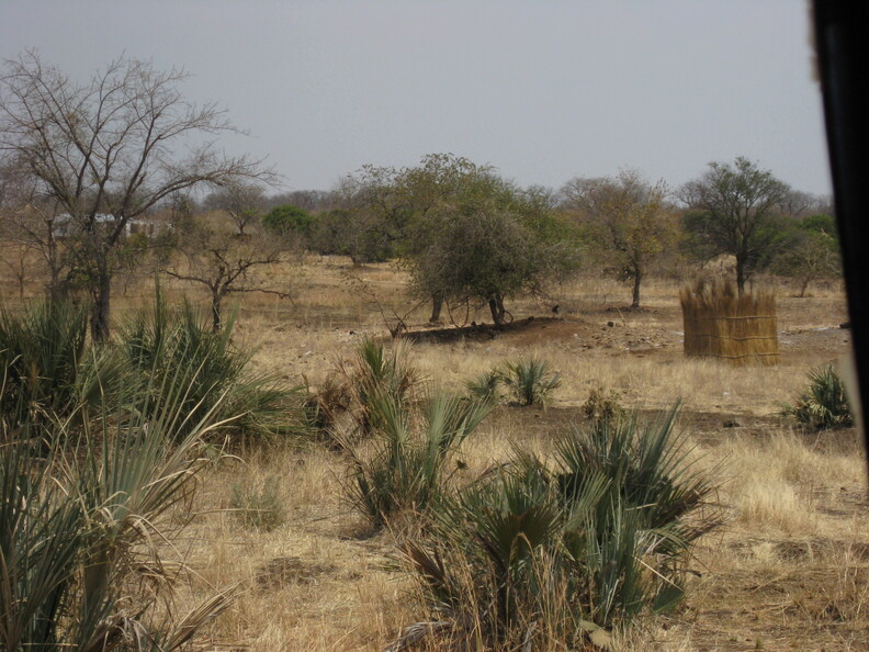 img-4.jpg