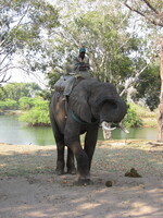 img-93