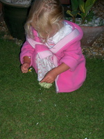 IMGP0391