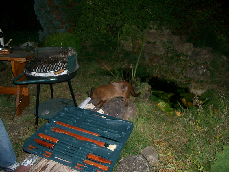 IMGP0737.jpg