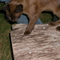 IMGP0739