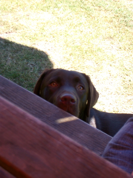 IMGP1084.jpg