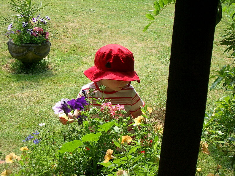 IMGP0517.jpg