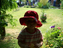 IMGP0518