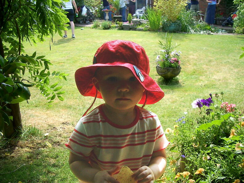 IMGP0518_modified.jpg