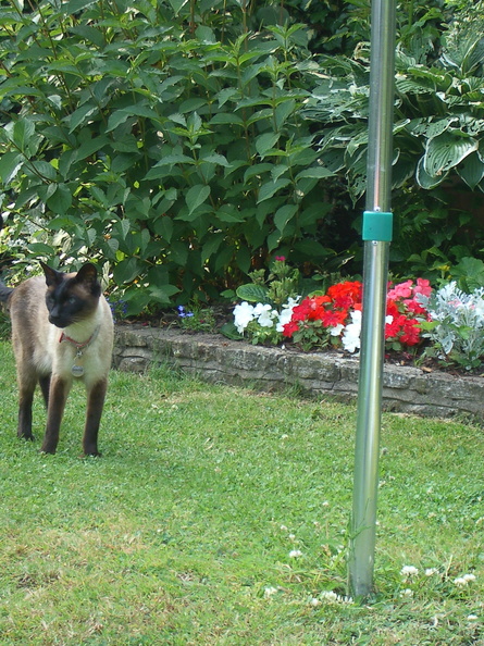 IMGP0563.jpg