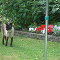 IMGP0563