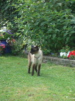 IMGP0564