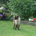 IMGP0564