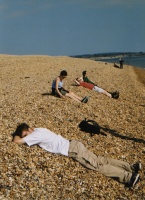 tammy finds a carrot