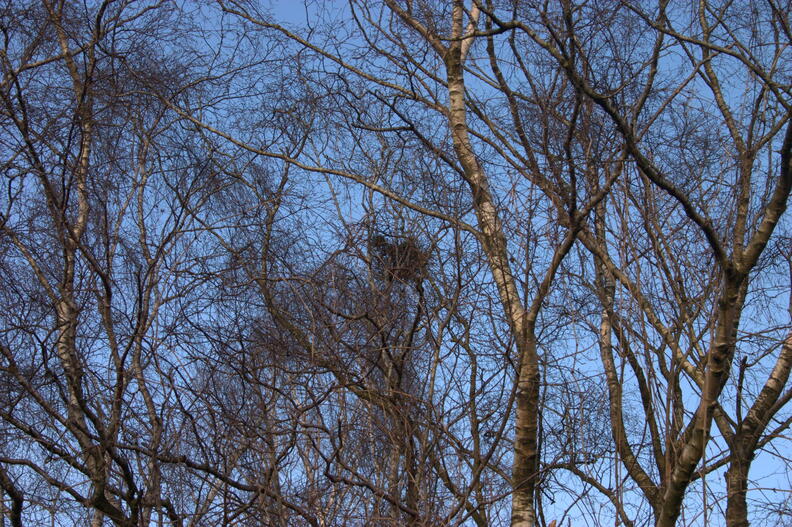 crw_4423.jpg