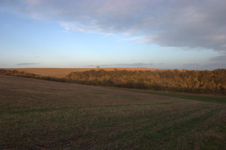 crw_4492.jpg